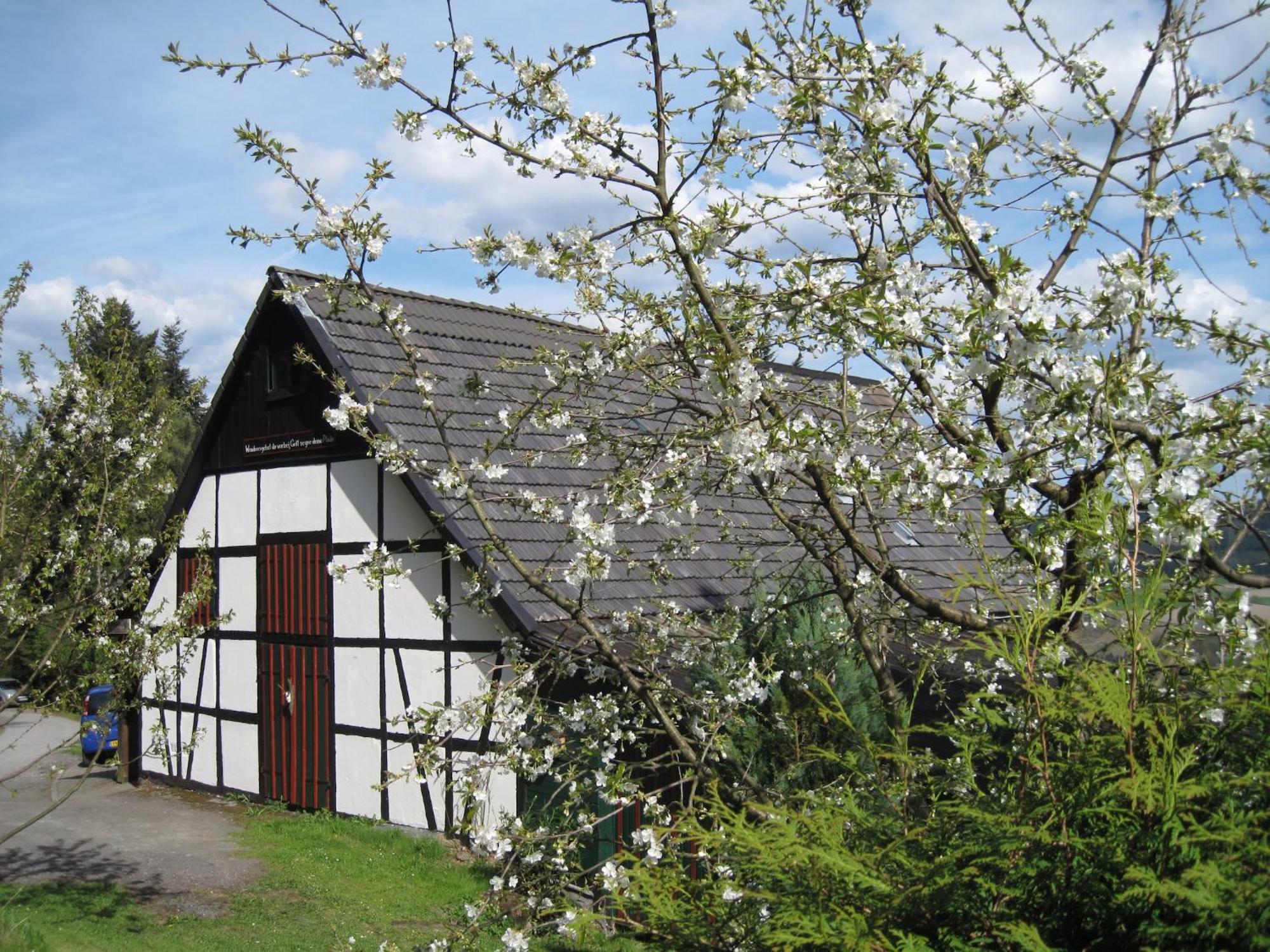Cosy Apartment In Menkhausen Near The Ski Area Schmallenberg Exterior foto