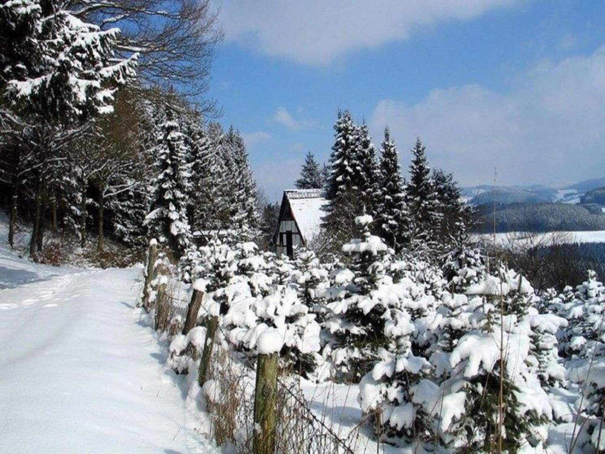 Cosy Apartment In Menkhausen Near The Ski Area Schmallenberg Exterior foto